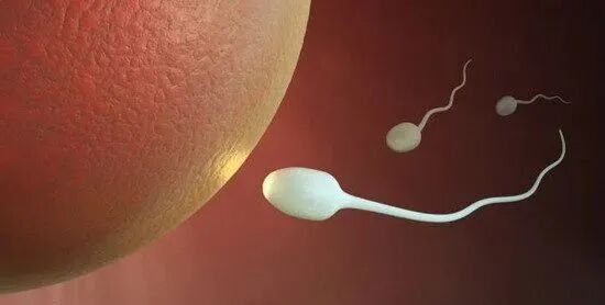 640 (2).jpg 640 (2).jpg