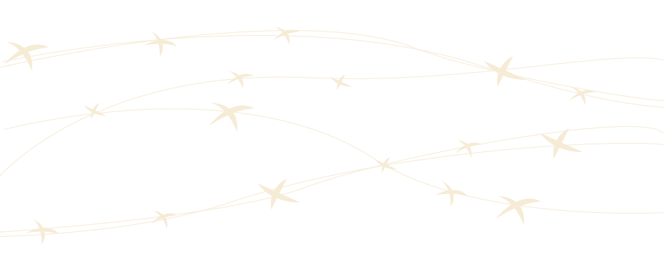 0f2b21b10237c5f5d9217747be9193aa.png