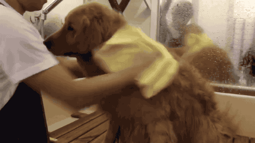 640 (10).gif 640 (10).gif